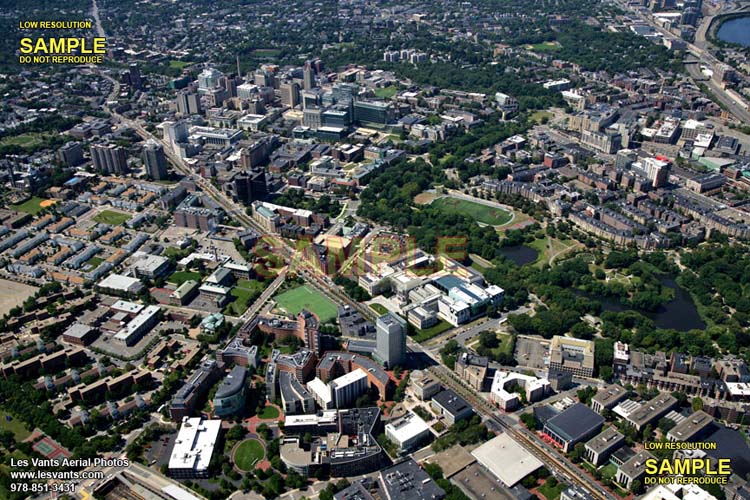 8-28-10_Boston_Stock_4791-211 copy