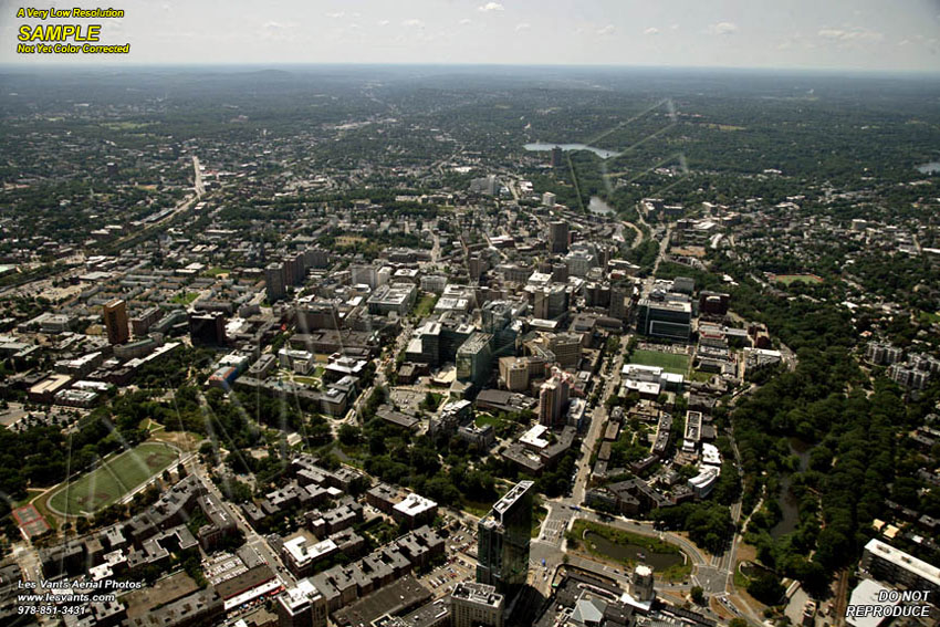 8-24-17_boston-longwood_7118-19 copy