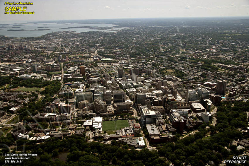 8-24-17_boston-longwood_7118-24 copy