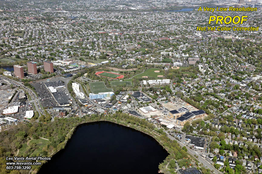 5-1-25__cambridge-alewife_stock_8150-231 copy