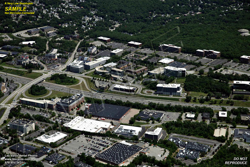 7-7-18_waltham-stock_7330-233 copy